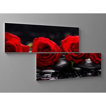 Obraz Obraz růže a kameny Rozměr: 80 x 40 cm
