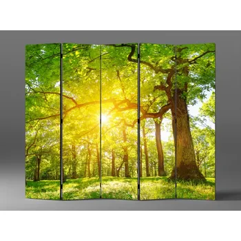 Paraván Paraván silný strom Rozměr: 225 x 180 cm