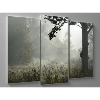 Obraz Obraz opuštěná chata v lese Rozměr: 60 x 40 cm