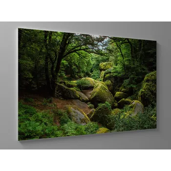 Obraz Obraz kameny v lese Rozměr: 60 x 40 cm