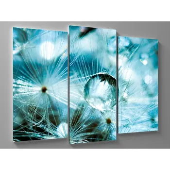 Obraz Obraz pampeliška a makro rosa Rozměr: 60 x 40 cm