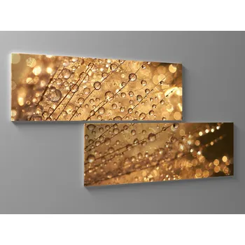 Obraz Obraz zlaté kapky rosy Rozměr: 80 x 40 cm