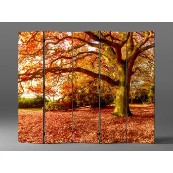 Paraván Paraván podzimní krajina Rozměr: 225 x 180 cm