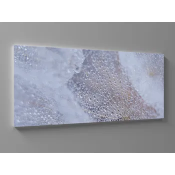 Obraz Obraz kapky rosy na pampelišce Rozměr: 60 x 25 cm