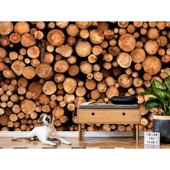 Tapeta Tapeta kulatiny stromu