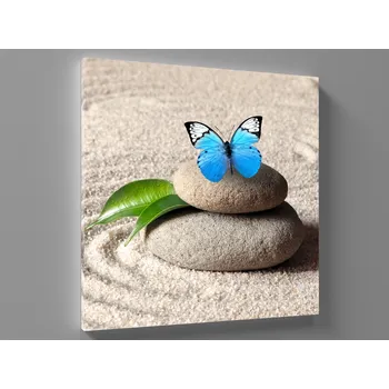 Obraz Obraz kameny a motýl Rozměr: 40 x 40 cm