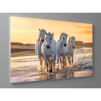 Obraz Obraz běžící koně Rozměr: 100 x 65 cm