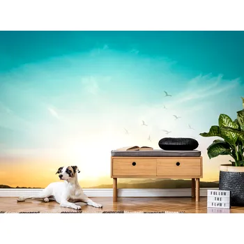 Tapeta Tapeta ptáci při západu slunce