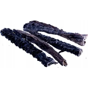 Pamlsek pro psa Psí pamlsek artex dršťky 100g