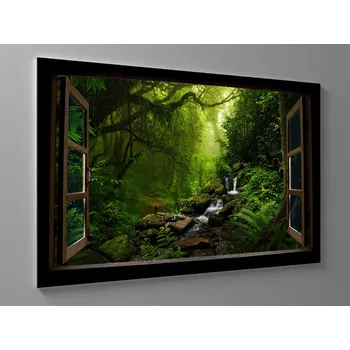 Obraz Obraz deštný prales Rozměr: 60 x 40 cm