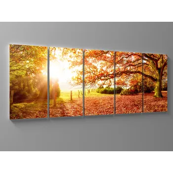 Obraz Obraz podzimní krajina Rozměr: 100 x 40 cm