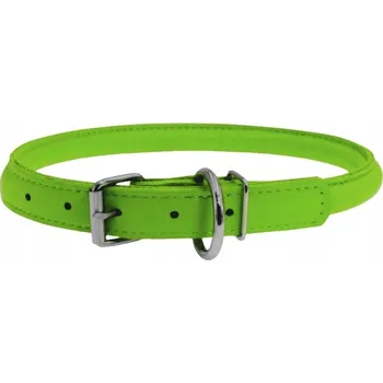 Obojek pro psa Kožený obojek pro psa WAUDOG COLLAR vel. XS