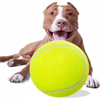 Hračka pro psa Míček gigant pro psa Aport Dla Psa 24 cm