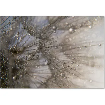 Obraz Skleněný panel 70 x 100 x 4 mm tvrzené sklo broušené bílý