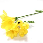 Rosa Frézie stvol 56 cm žlutá