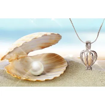 Přívěsek Perla přání v perlorodce - stříbrná