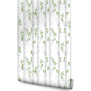 Fototapeta Tapeta Krásné Břízy v Létě /721306930