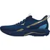 Pánská běžecká obuv Mizuno Wave Rider TT 2 J1GC243201