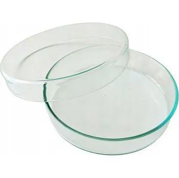 Skleněná Petriho Miska 60 x 12 mm