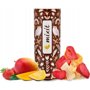 Sušená potravina Lyofilizované mango a jahoda MIXIT 140g