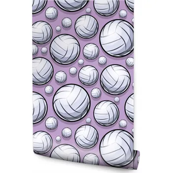 Fototapeta Tapeta pro teenagery Volejbalové míče SPORT Volejbal