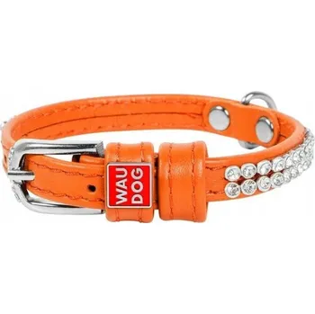 Obojek pro psa Kožený obojek pro psa WAUDOG COLLAR vel. XS