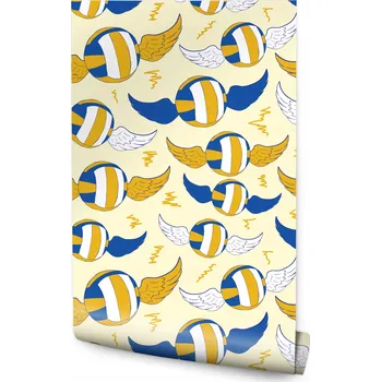Fototapeta Tapeta pro teenagery VOLEJBAL Sport Míče Křídla