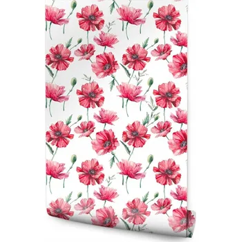 Fototapeta Tapeta do jídelny malované máky rostliny akvarel