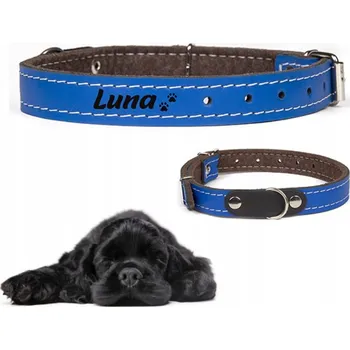 Obojek pro psa Kožený obojek pro psa s gravírováním DOGESTE vel. S