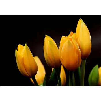 Obraz Skleněný panel Wallmuralia 70x100 cm tvrzené sklo žlutý a zlatý