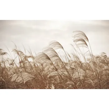 Fototapeta FOTOTAPETA 380x254 vliesová BOHO #F075 #SF