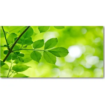 Obraz Kuchyňský panel Zelené listy 140x70 cm + LEPIDLO