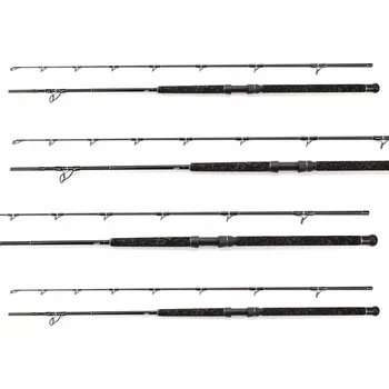 Rybářský prut PRUT ROD RODMAN CRAZY CAT BOAT 250/150-250g