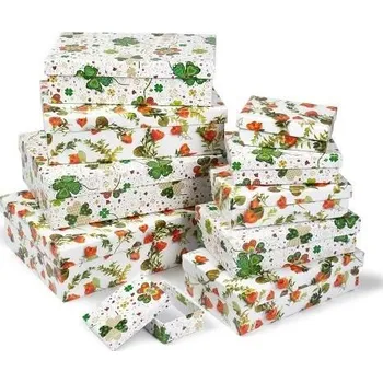 ARGUS Sada 10 ks dárkových krabic květinové 25005191