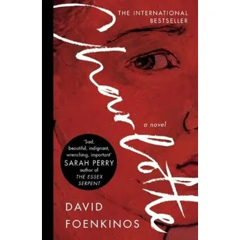 Charlotte - Foenkinos, David [EN] (2018, Brožovaná / brožovaná, Canongate Books)