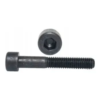 Šroub Šrouby s vnitřním šestihranem M6x55 černé, třída 8.8, DIN 912, NG 200 ks