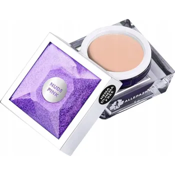 Lak na nehty Gel na nehty ALLEPAZNOKCIE 5g Artistic Gel Ombre Nude Pink Č. 15