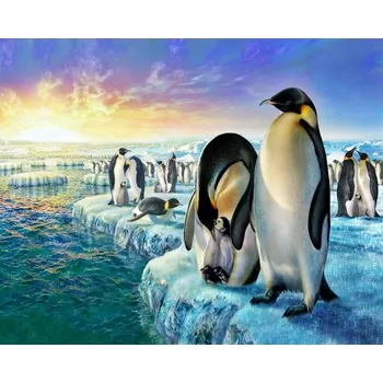 Figured ART Malování podle čísel - TUČŇÁCI NA MOŘSKÉM LEDĚ bez rámu 40 x 50 cm