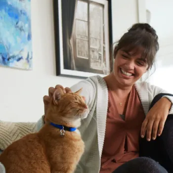 Frontline Spot On všenky 1× 0,5 ml