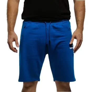 Pánské kraťasy Pánské teplákové kraťasy AUTHORITY-TS-PINTO blue Modrá XL