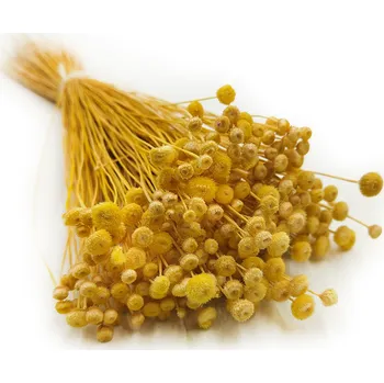 mech-mech.cz Sušené Botao - (Amarelinho) - žlutá