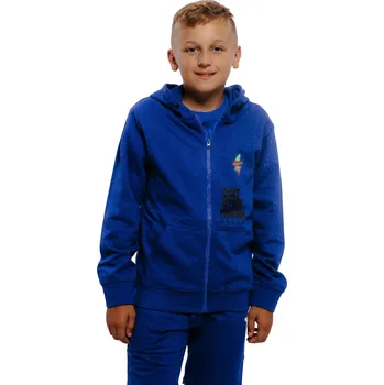 Pánská mikina Chlapecká mikina s kapucí AUTHORITY-H-ICECREAM B Modrá 152/158