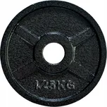 FitnessLine Kotouč litinový 30 mm 1,25…