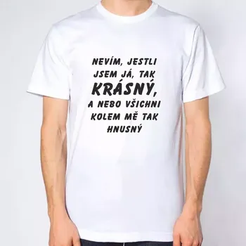 Pánské tričko Vtipné tričko - Nevím jestli jsem já tak krásný L bílá