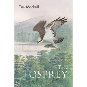 The Osprey - Mackrill, Tim; Appleton, Tim; McIntyre, Helen [EN] (2024, Brožovaná, Bloomsbury Publishing PLC)