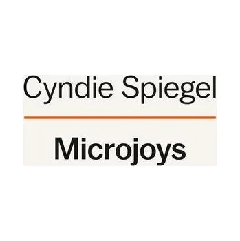 Osobní rozvoj Microjoys - Spiegel, Cyndie [EN] (2023, Firma, Penguin LCC US)
