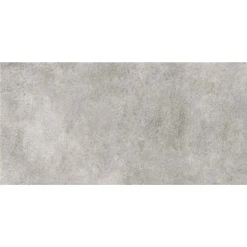 Dlažba DLAŽBA BORIDO GREY LIGHT MAT 29,8X59,8 (II. JAKOST)