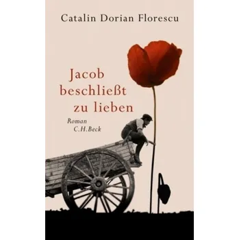 Jacob beschließt zu lieben - Florescu, Catalin D.
