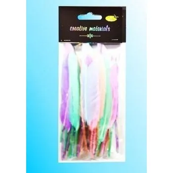 Set školních potřeb Piórka twarde 15cm 50szt (pl, 2000, Galeria Hobby)