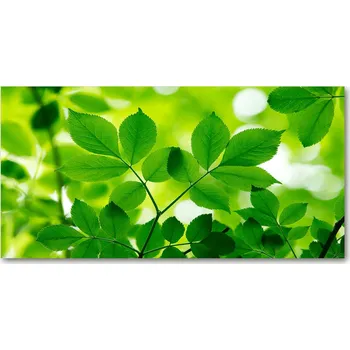 Obraz Kuchyňský panel Zelené listy 100x50 cm + LEPIDLO